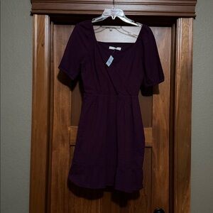 NWT Loft dress size 8p
